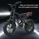Fat Tire Electric Bike with 250W Motor, 30-60KM