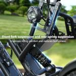 Fat Tire Electric Bike with 250W Motor, 30-60KM