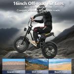 Fat Tire Electric Bike with 250W Motor, 30-60KM