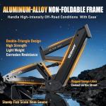 TESWAY X9 Dual Motor Full Suspension Fat Tire eBike