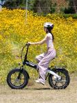 HITWAY Folding Fat Tire Electric Bike for Adults