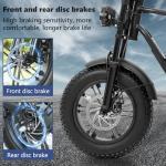 Fat Tire Electric Bike with 250W Motor, 30-60KM