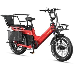 TESWAY Long Range 2-Seater Electric Bike X7PRO & X5PRO
