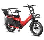 TESWAY Long Range 2-Seater Electric Bike X7PRO & X5PRO
