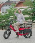 TESWAY Long Range 2-Seater Electric Bike X7PRO & X5PRO