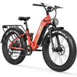 FREESKY Wildcat Long Range Electric Fat Bike