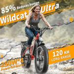 FREESKY Wildcat Long Range Electric Fat Bike