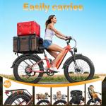 FREESKY Wildcat Long Range Electric Fat Bike