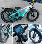 HIMIWAY D5 Zebra Fat Tire Long Range eBike