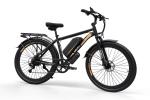 Emoko EC27 48V Electric Fat Tire E-Mountain Bike