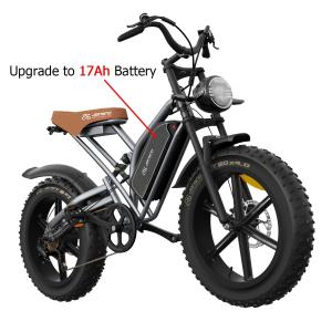 Jansno X50 Electric Mountain Fat Tire Bike