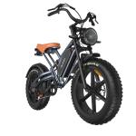 Jansno X50 Electric Mountain Fat Tire Bike