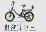 48V Electric Fat Tire Bike with Pedal Assist