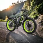 Keteles K800 Dual Motor Electric Fat Tire Bike