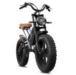 Jansno X50 Fat Tire 14Ah Electric Mountain Bike
