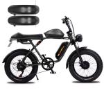 Dual Motor 52V Fat Tire Electric Mountain Bike