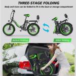 48V Electric Fat Tire Bike with Pedal Assist