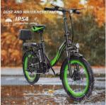 48V Electric Fat Tire Bike with Pedal Assist