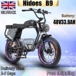 Hidoes B9 W750 Dual Battery Fat Tire eBike
