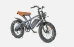 Jansno X50 Fat Tire 14Ah Electric Mountain Bike