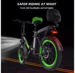 48V Electric Fat Tire Bike with Pedal Assist