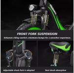 48V Electric Fat Tire Bike with Pedal Assist