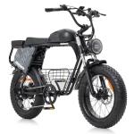 Hidoes B9 W750 Dual Battery Fat Tire eBike