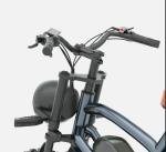 Jansno X50 Fat Tire 14Ah Electric Mountain Bike