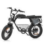 Hidoes B9 W750 Dual Battery Fat Tire eBike