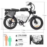 Hidoes B9 W750 Dual Battery Fat Tire eBike