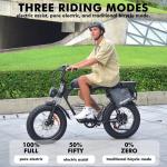 Hidoes B9 W750 Dual Battery Fat Tire eBike
