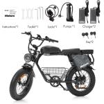 Hidoes B9 W750 Dual Battery Fat Tire eBike