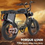 Hidoes B9 W750 Dual Battery Fat Tire eBike