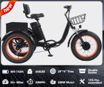 Broobey 20" Folding Electric Tricycle for Adults