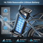 Fafrees Folding Electric Bike with Removable Battery