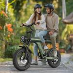 X90 Compact Electric Bike with 250W Motor