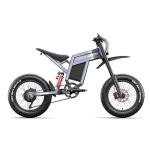 Shengmilo S900 Off-Road Electric Bike for Adults