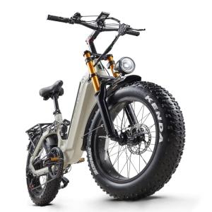 20" Fat Tire Electric Bike with Full Suspension