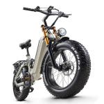 20" Fat Tire Electric Bike with Full Suspension