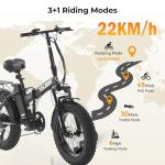 TRIOBLADE Folding Electric Bike for Adults