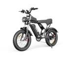 Snokco All-Terrain Electric Bike with Removable Battery