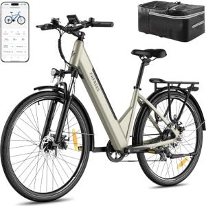 Fafrees 28" Electric Bike with Removable Battery