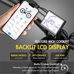 Fafrees 28" Electric Bike with Removable Battery