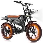 EVERCROSS EK30 Pro Electric Fat Tire Bike