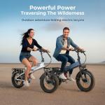 SAMEBIKE 20" Folding Fat Tire Electric Bike