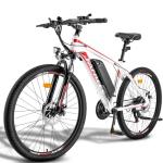 Fafrees 26" Electric Mountain Bike with Removable Battery