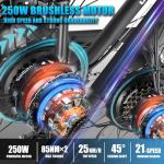 JESRIDER 250W Electric Fat Tire E-Bike