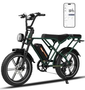 RCB 20" Electric Fat Tire E-Bike for Adults