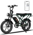 RCB 20" Electric Fat Tire E-Bike for Adults