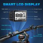 Fafrees 26" Electric Mountain Bike with Removable Battery